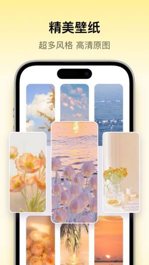 桌面主题Colorful Widget小组件app下载苹果版图片2