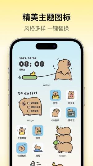 桌面主题Colorful Widget小组件app下载苹果版图片3