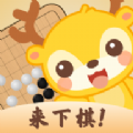 京棋堂应用
