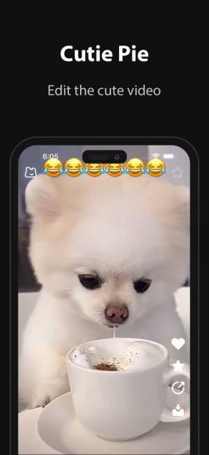 TiTaok国际版最新图片2