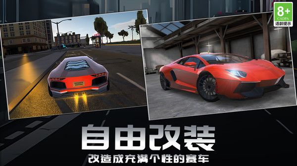赛道狂野王者免广告版图1