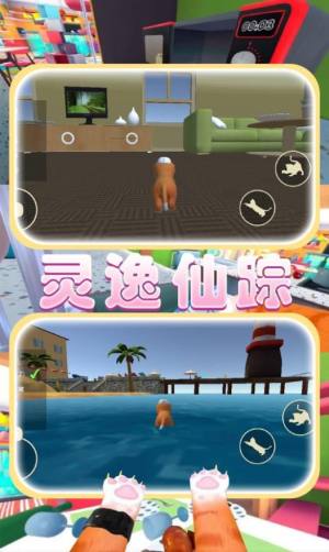 猫猫奇妙冒险免广告版图2