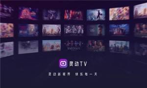 灵动tv电视版图1