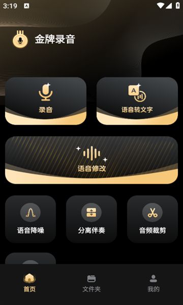 金牌录音app图2