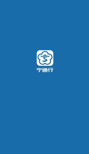 宁通行app图1