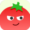 番茄相册大师app