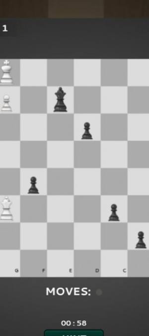 国际棋的狂热游戏图1