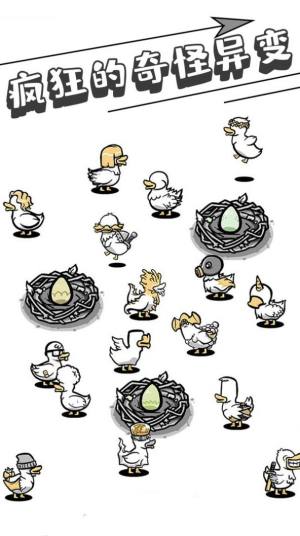 母鸡下蛋安卓版图3