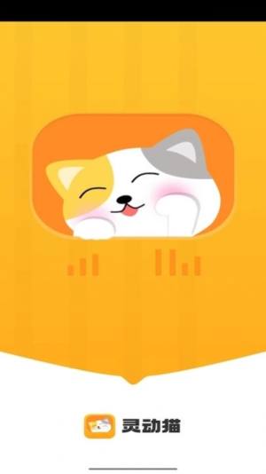 灵动猫app图3