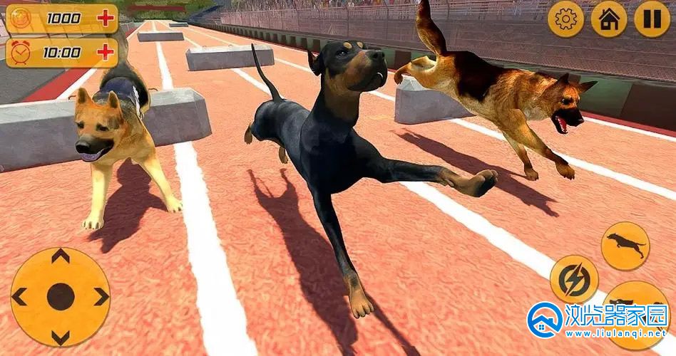 警犬游戏大全-关于警犬的游戏有哪些-警犬互动游戏推荐
