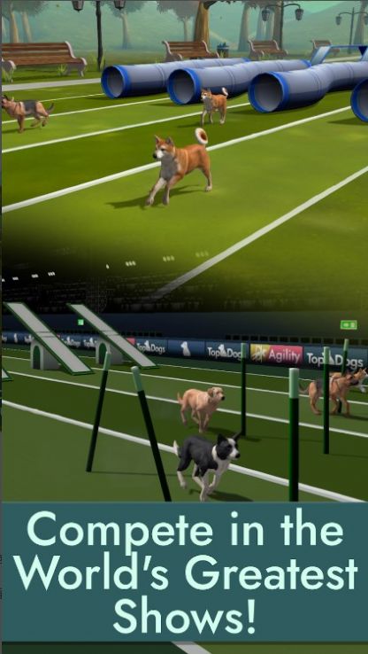 Top Dogs游戏图3