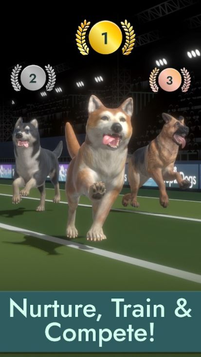 Top Dogs游戏手机版下载图片1