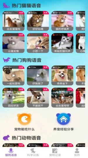 啵啵猫狗语音app安卓版图片1