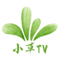 小草TV app