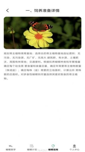 蝴蝶乐刷app手机版图片1