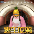 菠萝头吃鸡游戏官方安卓版 v1.0