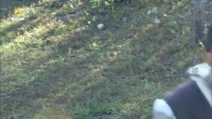 我的电视一电视版下载官方app图片1