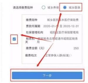 云南省电子税务局线上缴费app苹果版（云南税务）图片4