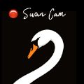 Swan Cam app