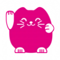 玄学猫测评软件app v1.0.0