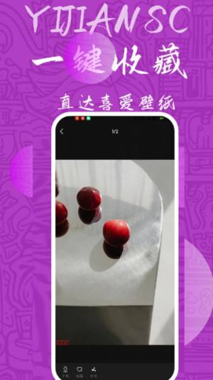 量岛壁纸app手机版图片1