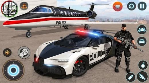 警察车警察与强盗游戏安卓版下载 v1.0截图1