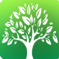碳和森林app