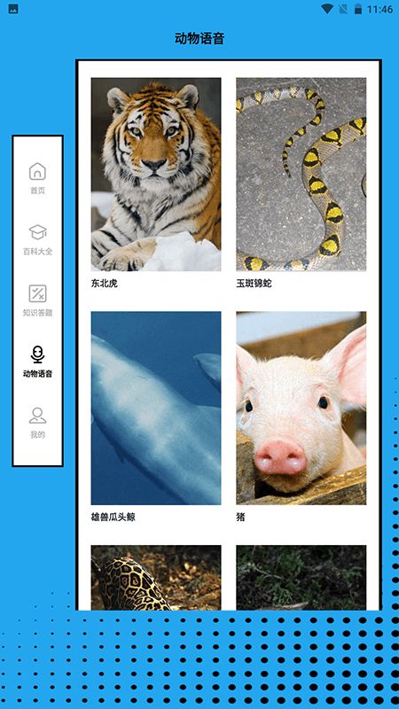 动物大联盟世界app图2