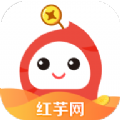 红芋网安卓版app下载 v1.0.1