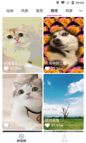 乐趣刷刷宝短视频官方版app图片1