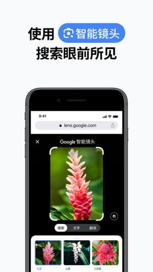 谷歌chrome官方手机版下载最新中文版图片1