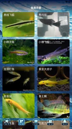 多多养鱼手册app图3