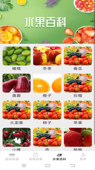 美味天天点app图3