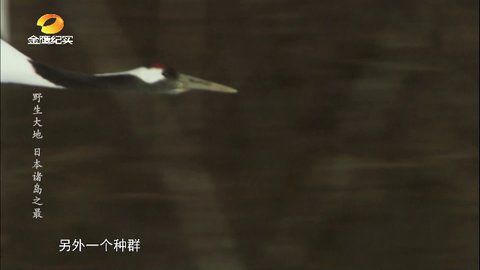 新情女幽魂TV软件图1