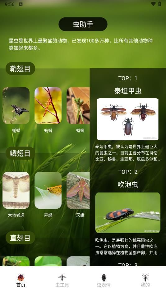 虫助手大师app图3