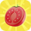 西红柿成语app