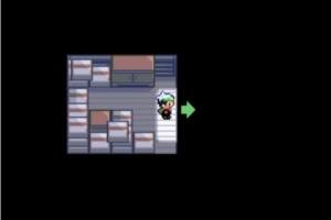 宝可梦run and bun金手指下载汉化版图片1