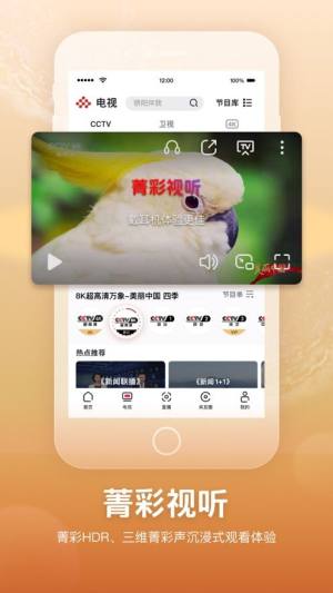 央视频app电视tv版图2