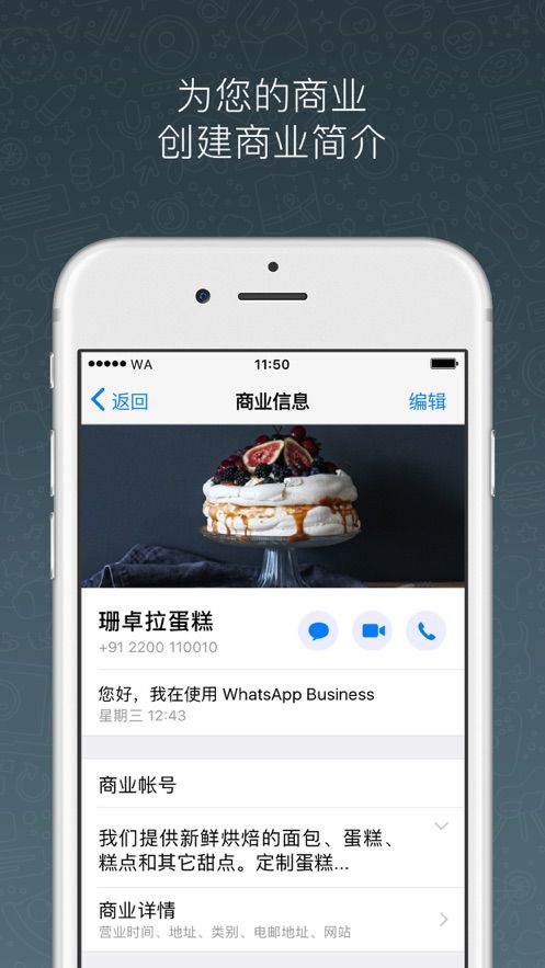 whatsapp business安卓版2024图2