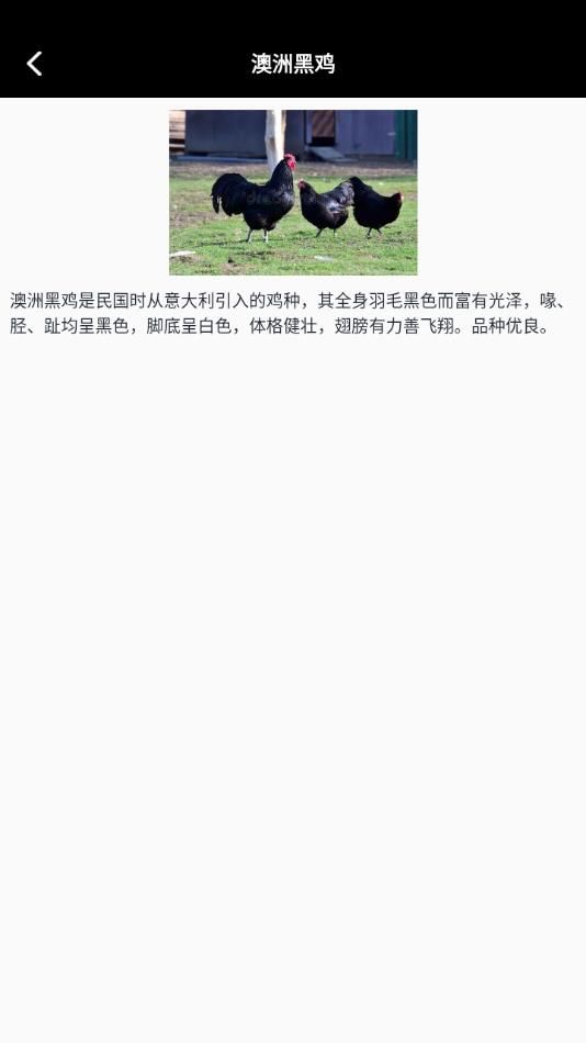 小鸡养殖模拟器app图2