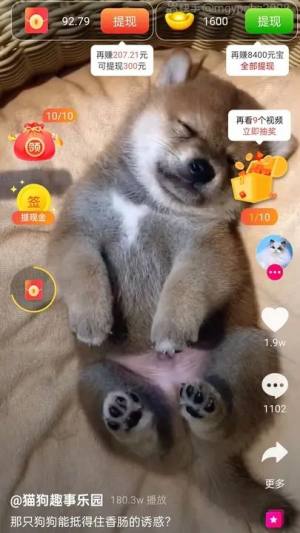 斑点狗app图1