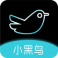 小黑鸟交友软件官方app下载 v1.0.2