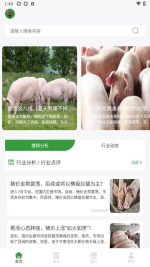 小小养猪场助手app图1