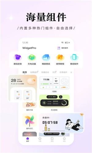 widgetpro小组件官方app下载图片3