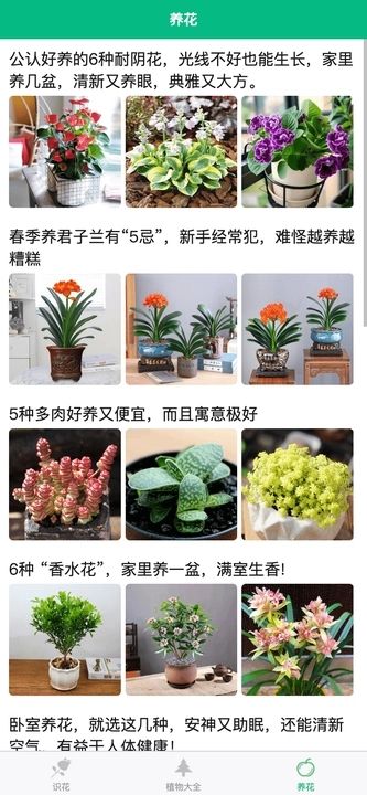 竹馨时光吧植物识别软件官方下载图片1