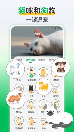 鸟语交流器app图2