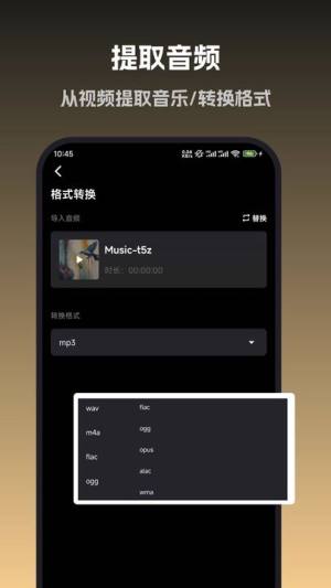 音旅app图3