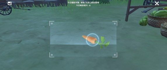 原神带有红色的采集物位置大全，福至五彩第一天任务图文攻略[多图]图片4