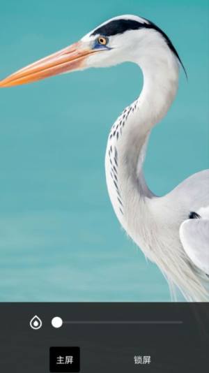 百宝宝盒图片编辑软件免费版图片1