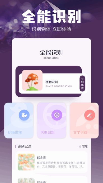 Magi工具箱app图1